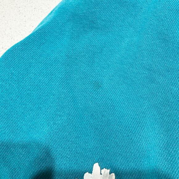 ADIDAS ADVENTURE GRAPHIC SHORTS Painted Geese W Hats Size Medium Blue - Picture 3 of 9